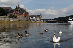 Dinant_2012-07-22_DSC_0960