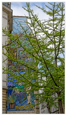 DSC 0048 1200