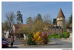 Cluny DSC 1006