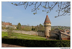 Cluny DSC 1011