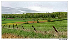 Torgny-vignoble-20150426 163630