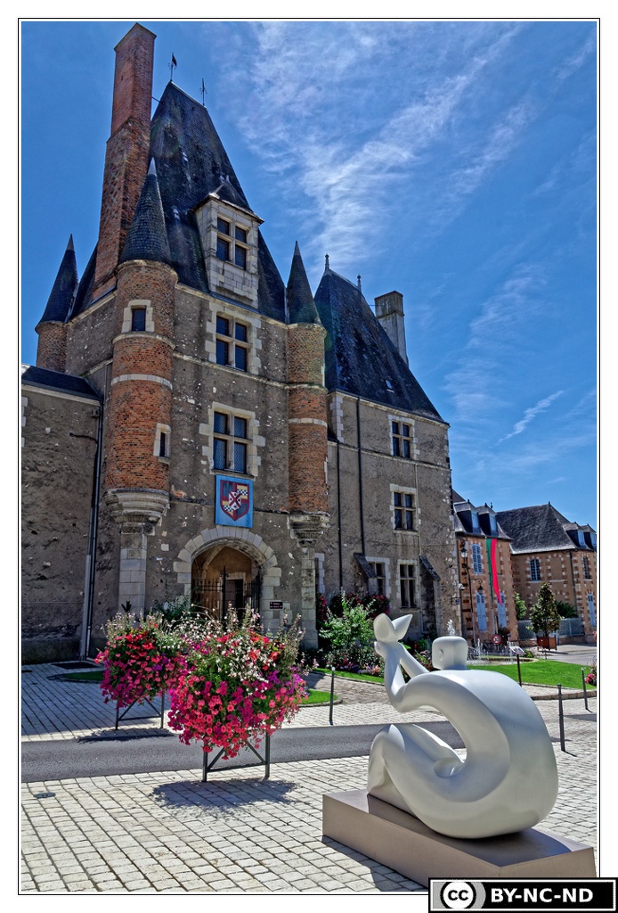 Aubigny-sur-Nere Chateau DSC 0100