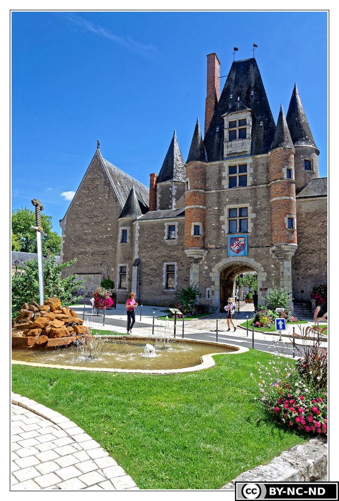 Aubigny-sur-Nere Chateau DSC 0103
