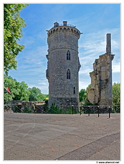 Mehun-sur-Yevre-Chateau DSC 0186