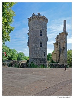 Mehun-sur-Yevre-Chateau DSC 0186