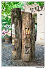 Arbre-a-livres DSC 0046