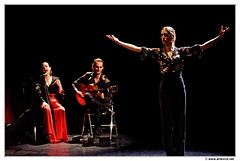 Yalla-Flamenco