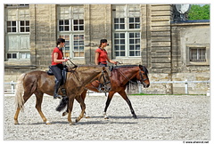 Haras-Chantilly-Chevaux DSC 0284