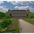 Jardin-des-plantes DSC 0154