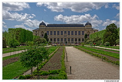 Jardin-des-plantes DSC 0154