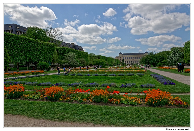 Jardin-des-plantes DSC 0156