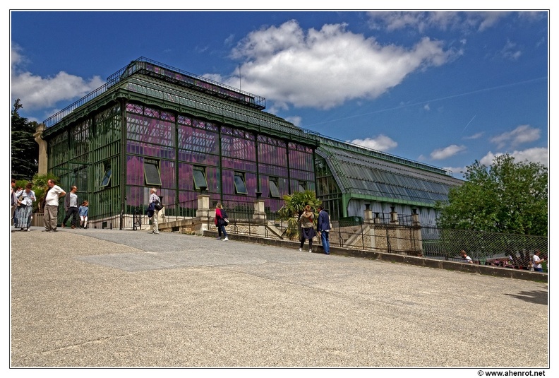 Jardin-des-plantes Les-grandes-Serres DSC 0148