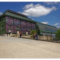 Jardin-des-plantes Les-grandes-Serres DSC 0148