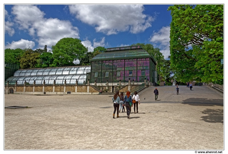 Jardin-des-plantes_Les-grandes-Serres_DSC_0151.jpg