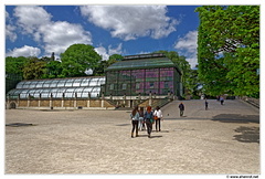 Jardin-des-plantes Les-grandes-Serres DSC 0151