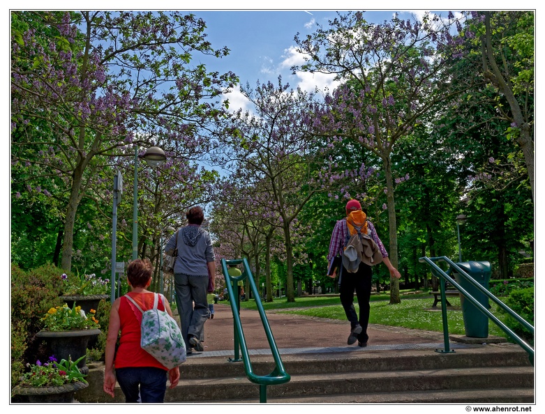 Terrasse-de-la-hauteur_Pitie-Salpetriere_Paulownia_DSC_0157.jpg