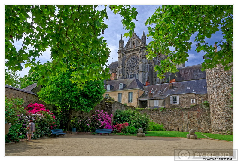 Cathedrale_Sous-les-remparts_DSC_0738.jpg