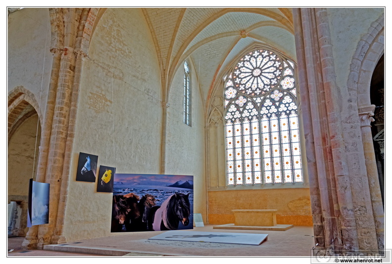 Abbaye-de-L-Epau_Abbatiale_DSC_0054.jpg