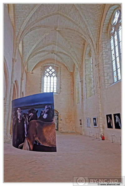 Abbaye-de-L-Epau_Abbatiale_DSC_0057.jpg