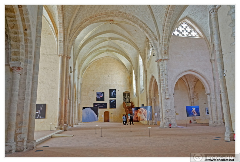 Abbaye-de-L-Epau_Abbatiale_DSC_0062.jpg