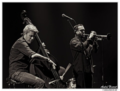 Kyle-Eastwood&Quentin--Collins DSC 2011 N&B