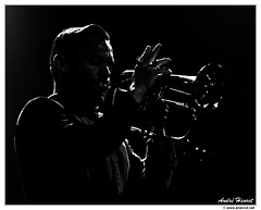Quentin-Collins DSC 2228 N&B