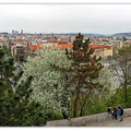 Prague-vu-du-Parc-de-Letna Panorama1 1200