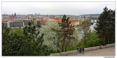 Prague-vu-du-Parc-de-Letna Panorama1 1200
