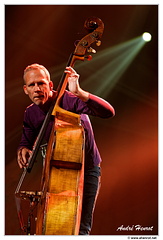 Avishai Cohen