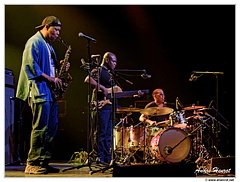 Steve Coleman