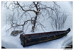 Jokkmokk-Musee-Ajtte Laponie DSC 5374