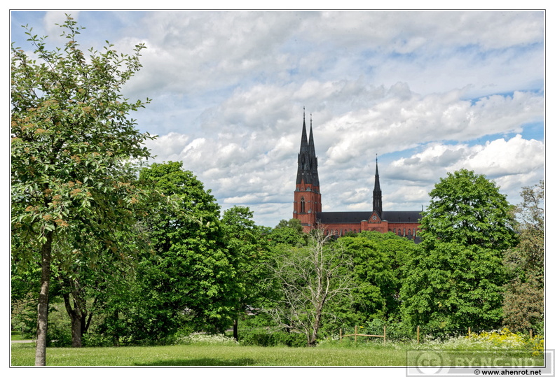 Uppsala-Cathedrale_DSC_5673.jpg