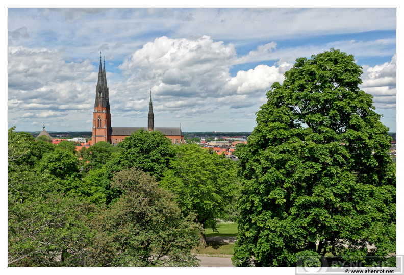 Uppsala-Cathedrale_DSC_5676.jpg