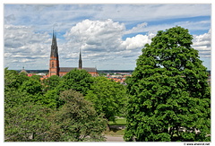 Uppsala-Cathedrale DSC 5676