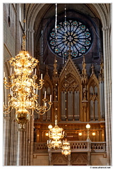 Uppsala-Cathedrale-Orgue DSC 5649