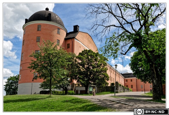 Uppsala-Chateau DSC 5672