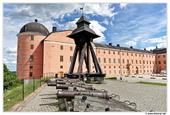 Uppsala-Chateau DSC 5677