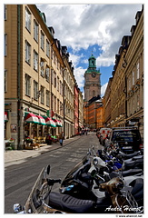 Stockholm Cathedrale DSC 5974