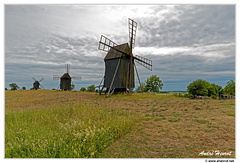 Oland-Moulins DSC 6255