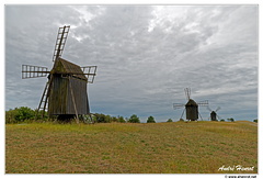 Oland-Moulins DSC 6259