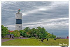 Oland-Phare DSC 6265