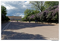 Oslo Palais-Royal DSC 1849