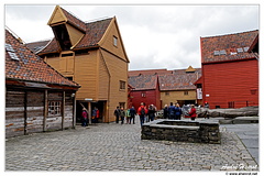 Bergen Bryggen DSC 3088