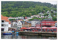 Bergen DSC 3022