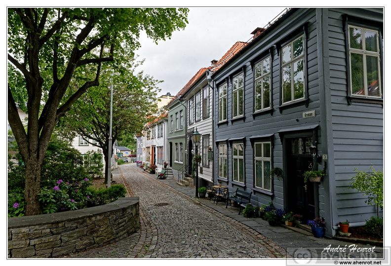 Bergen_Rue-Kroken_DSC_3103.jpg