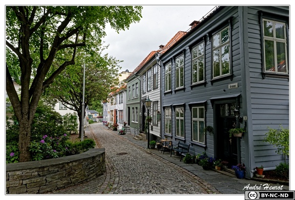Bergen Rue-Kroken DSC 3103