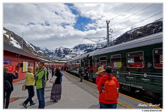 De Myrdal à Flåm en train