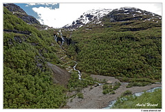 Myrdal-Flam DSC 3433