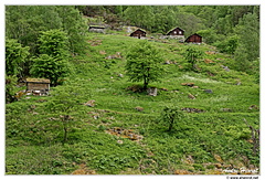 Lærdal Ferme-Galdane DSC 3578