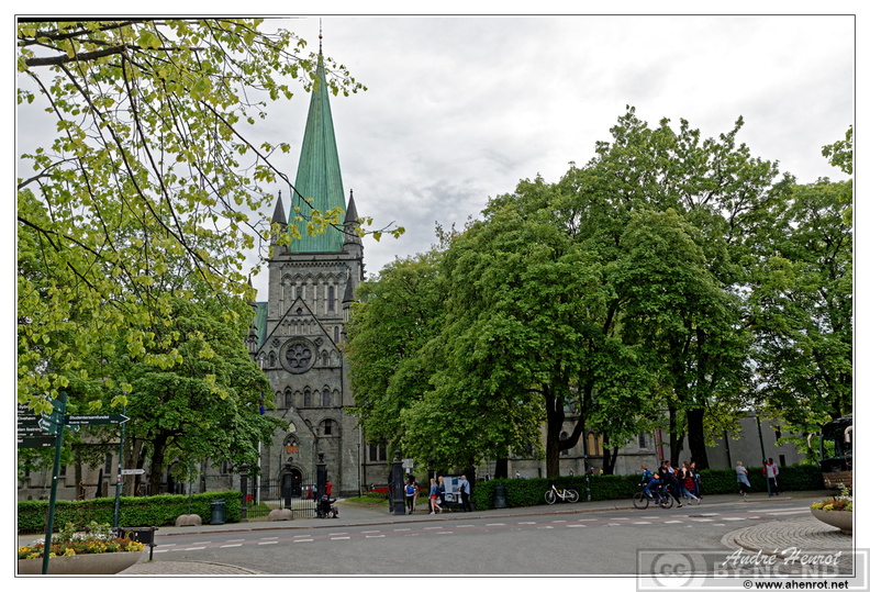 Trondheim Nidaros-Domkirke DSC 4142